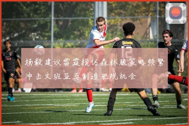 杨毅建议雷霆模仿森林狼策略频繁冲击文班亚马制造犯规机会